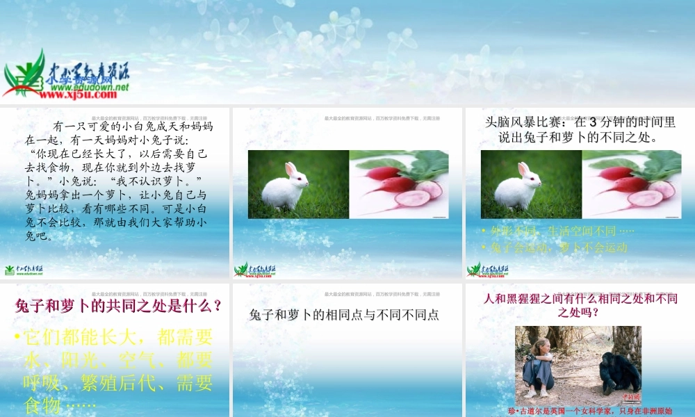 苏教小学科学三上《06动物、植物、人》PPT课件(1)【加微信公众号 jiaoxuewuyou 九折优惠qq 1119139686】.ppt