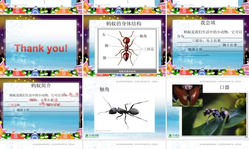 苏教小学科学三上《05校园里的小动物》PPT课件(2)【加微信公众号 jiaoxuewuyou 九折优惠qq 1119139686】.ppt