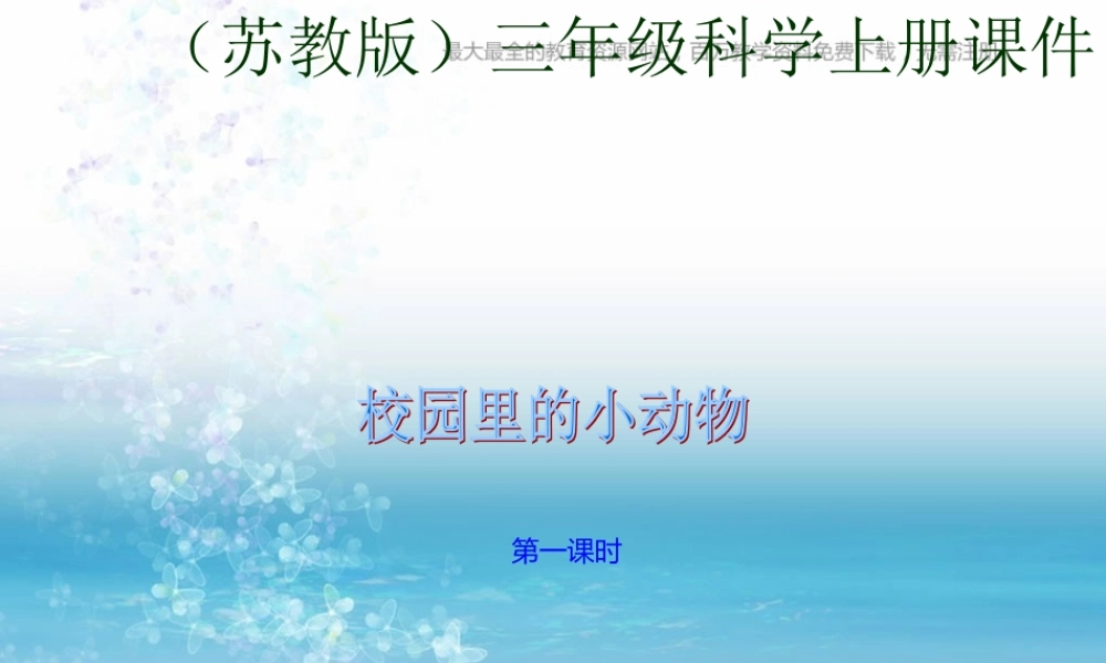 苏教小学科学三上《05校园里的小动物》PPT课件(12)【加微信公众号 jiaoxuewuyou 九折优惠qq 1119139686】.ppt