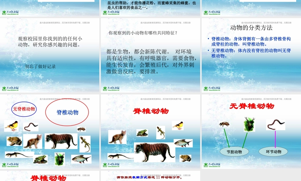 苏教小学科学三上《05校园里的小动物》PPT课件(5)【加微信公众号 jiaoxuewuyou 九折优惠qq 1119139686】.ppt