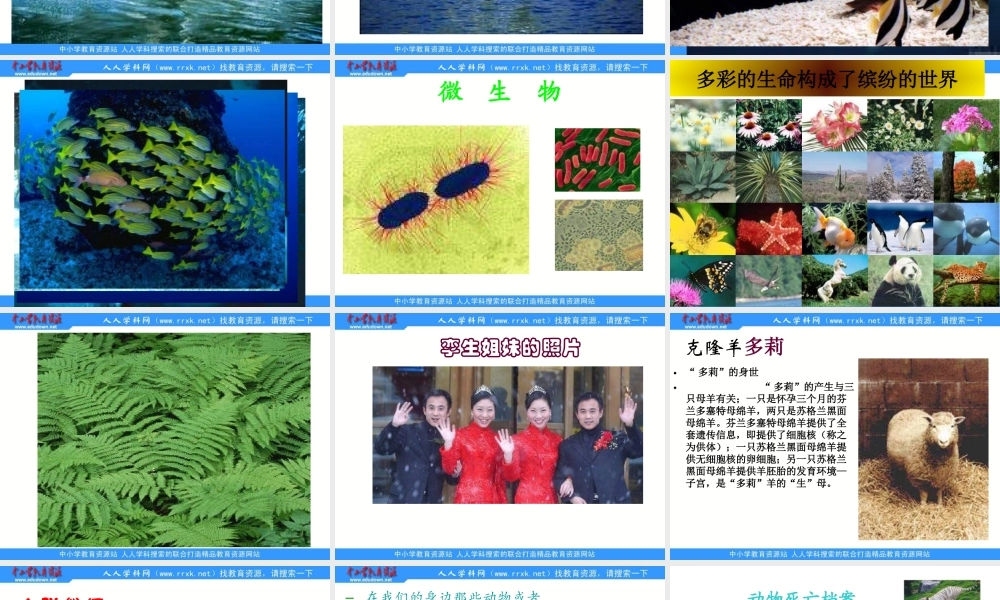 苏教小学科学三上《06动物、植物、人》PPT课件【加微信公众号 jiaoxuewuyou 九折优惠qq 1119139686】.ppt