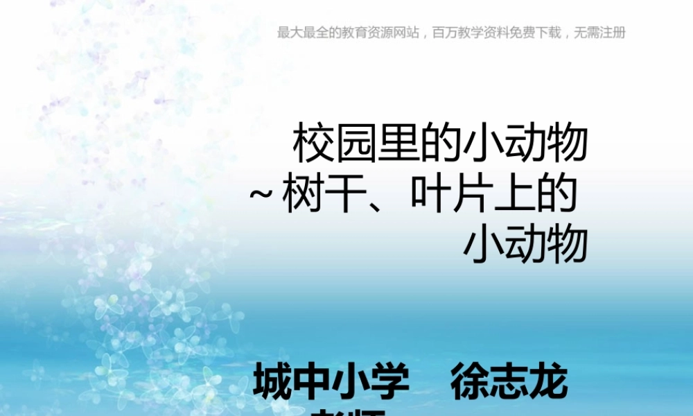 苏教小学科学三上《05校园里的小动物》PPT课件(3)【加微信公众号 jiaoxuewuyou 九折优惠qq 1119139686】.ppt