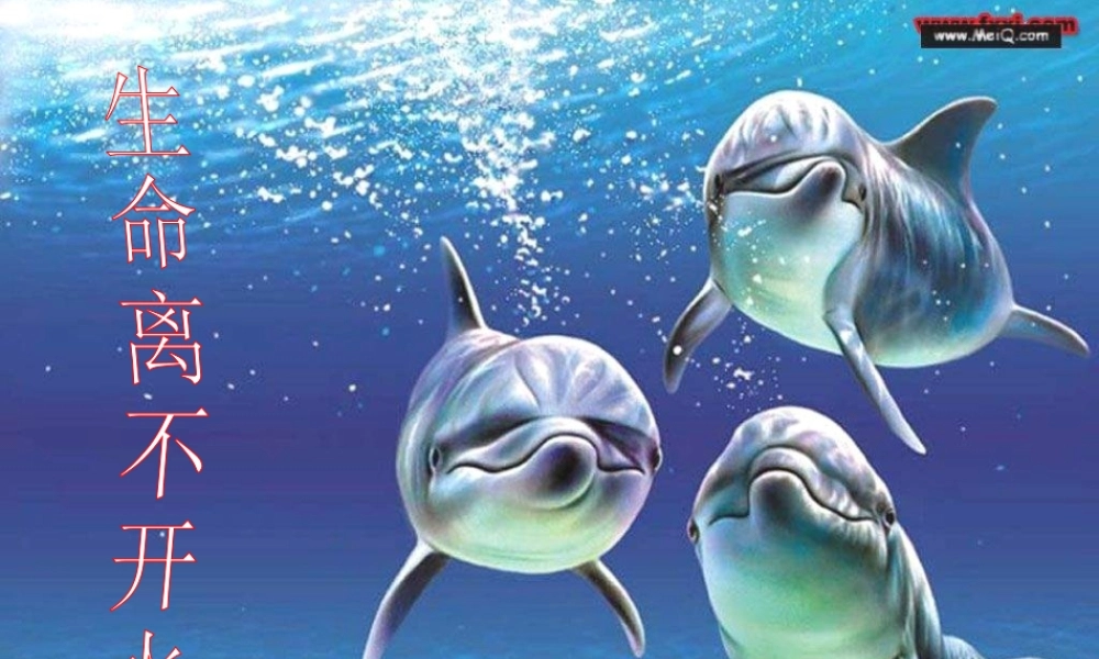 苏教小学科学三上《07生命离不开水》PPT课件(2)【加微信公众号 jiaoxuewuyou 九折优惠qq 1119139686】.ppt