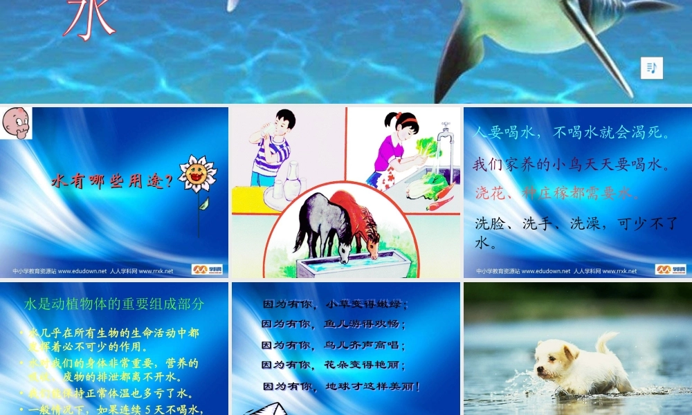 苏教小学科学三上《07生命离不开水》PPT课件(2)【加微信公众号 jiaoxuewuyou 九折优惠qq 1119139686】.ppt