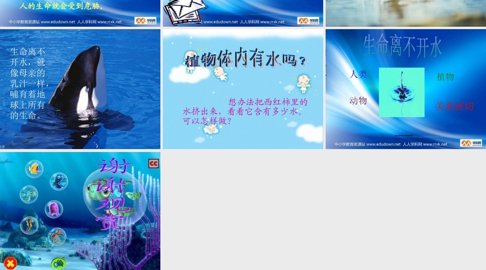 苏教小学科学三上《07生命离不开水》PPT课件(2)【加微信公众号 jiaoxuewuyou 九折优惠qq 1119139686】.ppt