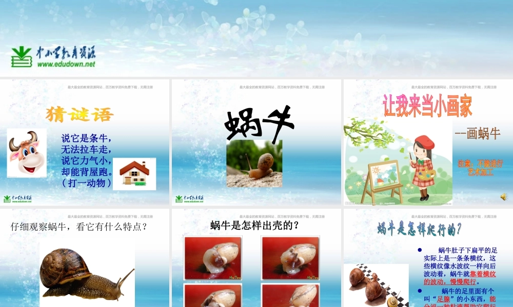 苏教小学科学三上《05校园里的小动物》PPT课件(9)【加微信公众号 jiaoxuewuyou 九折优惠qq 1119139686】.ppt