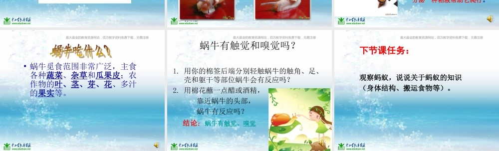 苏教小学科学三上《05校园里的小动物》PPT课件(9)【加微信公众号 jiaoxuewuyou 九折优惠qq 1119139686】.ppt