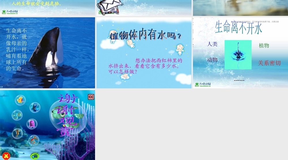 苏教小学科学三上《07生命离不开水》PPT课件(9)【加微信公众号 jiaoxuewuyou 九折优惠qq 1119139686】.ppt