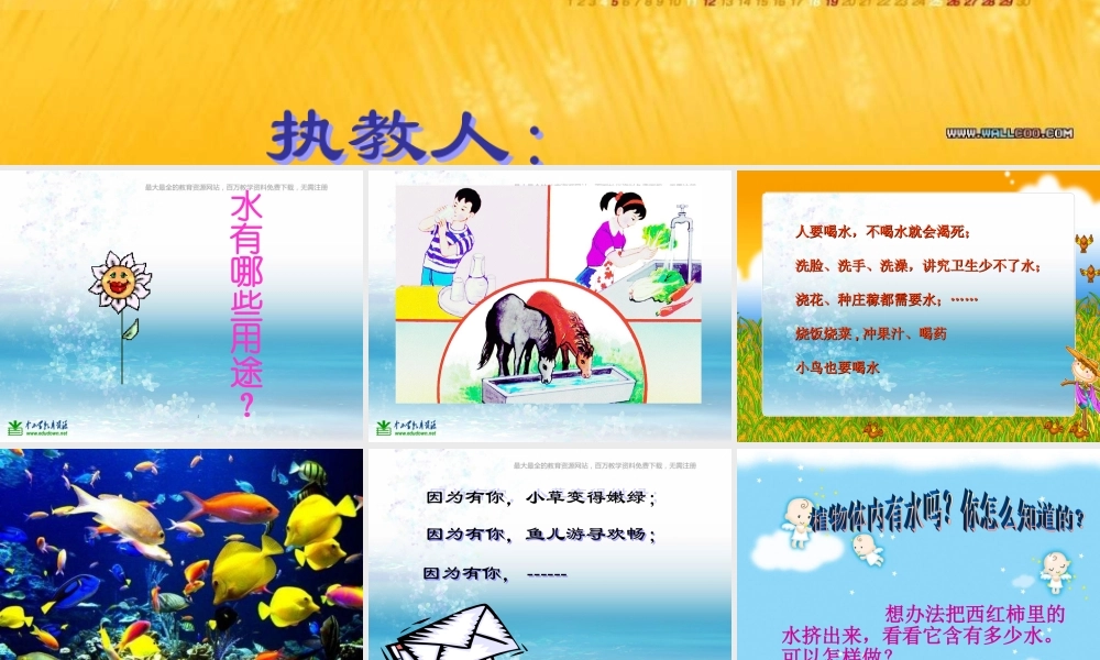 苏教小学科学三上《07生命离不开水》PPT课件(10)【加微信公众号 jiaoxuewuyou 九折优惠qq 1119139686】.ppt