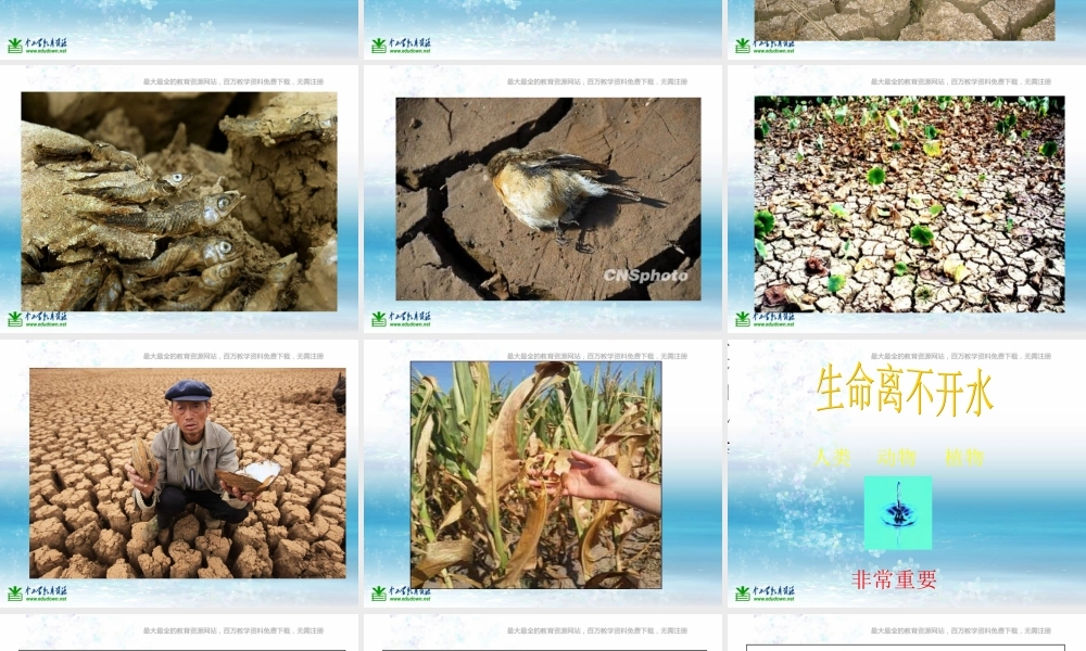 苏教小学科学三上《07生命离不开水》PPT课件(6)【加微信公众号 jiaoxuewuyou 九折优惠qq 1119139686】.ppt