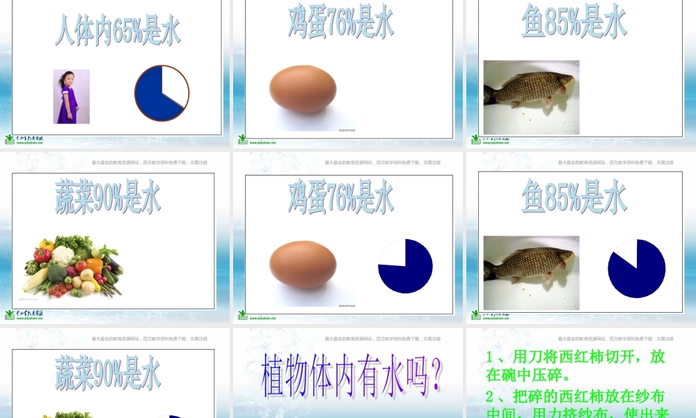 苏教小学科学三上《07生命离不开水》PPT课件(6)【加微信公众号 jiaoxuewuyou 九折优惠qq 1119139686】.ppt