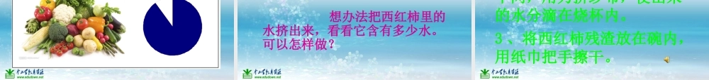 苏教小学科学三上《07生命离不开水》PPT课件(6)【加微信公众号 jiaoxuewuyou 九折优惠qq 1119139686】.ppt