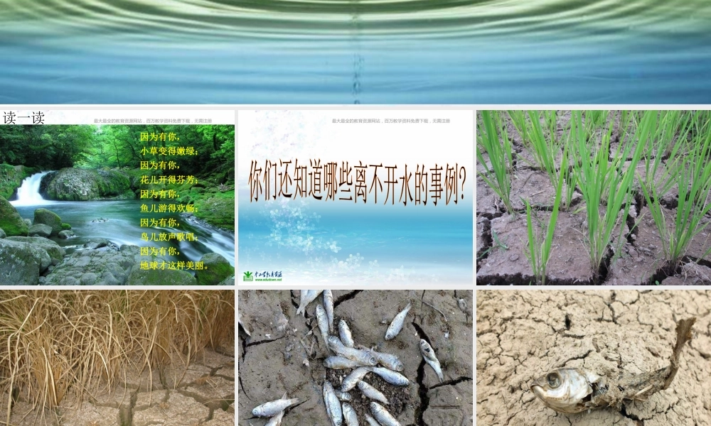 苏教小学科学三上《07生命离不开水》PPT课件(7)【加微信公众号 jiaoxuewuyou 九折优惠qq 1119139686】.ppt