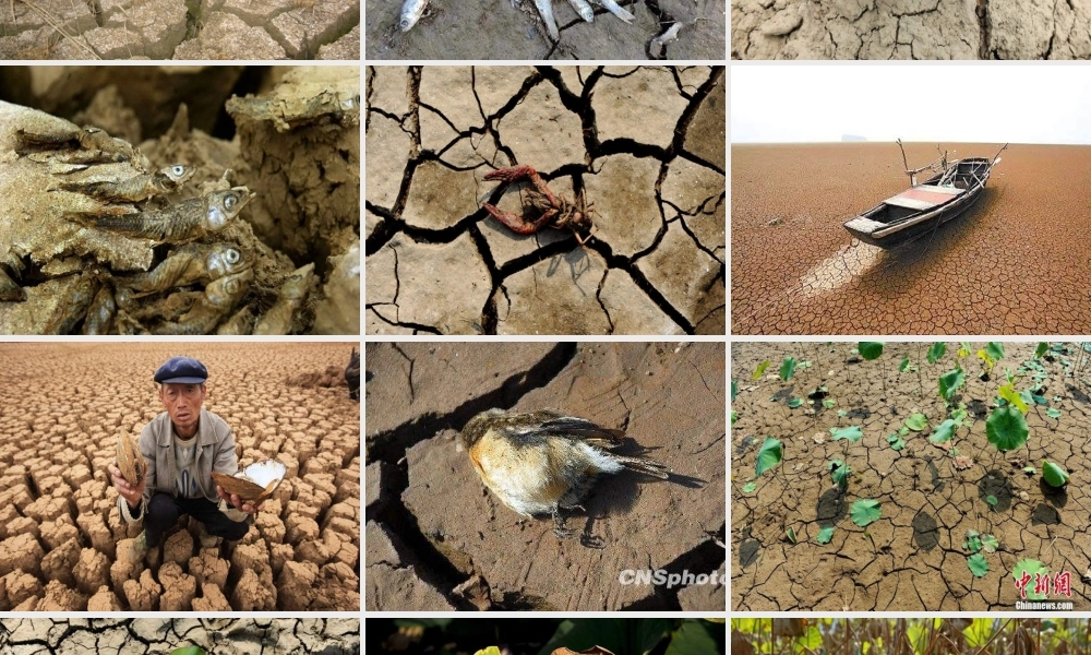 苏教小学科学三上《07生命离不开水》PPT课件(7)【加微信公众号 jiaoxuewuyou 九折优惠qq 1119139686】.ppt