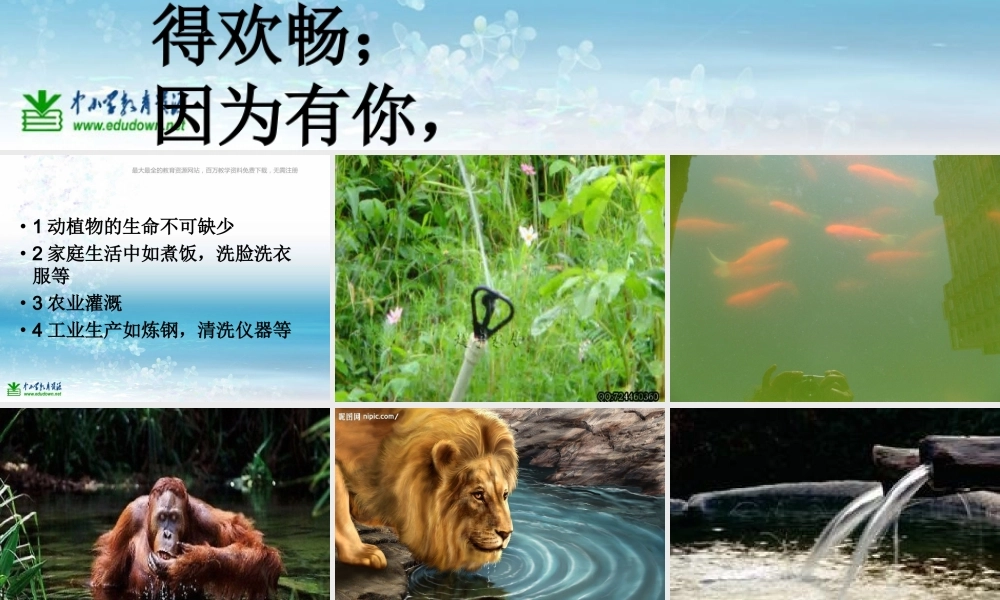 苏教小学科学三上《07生命离不开水》PPT课件(12)【加微信公众号 jiaoxuewuyou 九折优惠qq 1119139686】.ppt