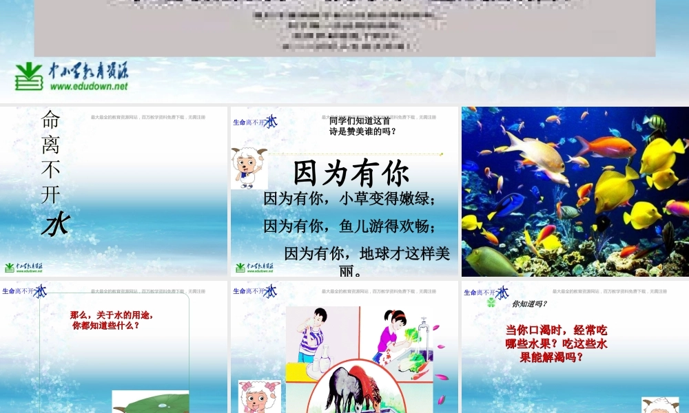 苏教小学科学三上《07生命离不开水》PPT课件(8)【加微信公众号 jiaoxuewuyou 九折优惠qq 1119139686】.ppt