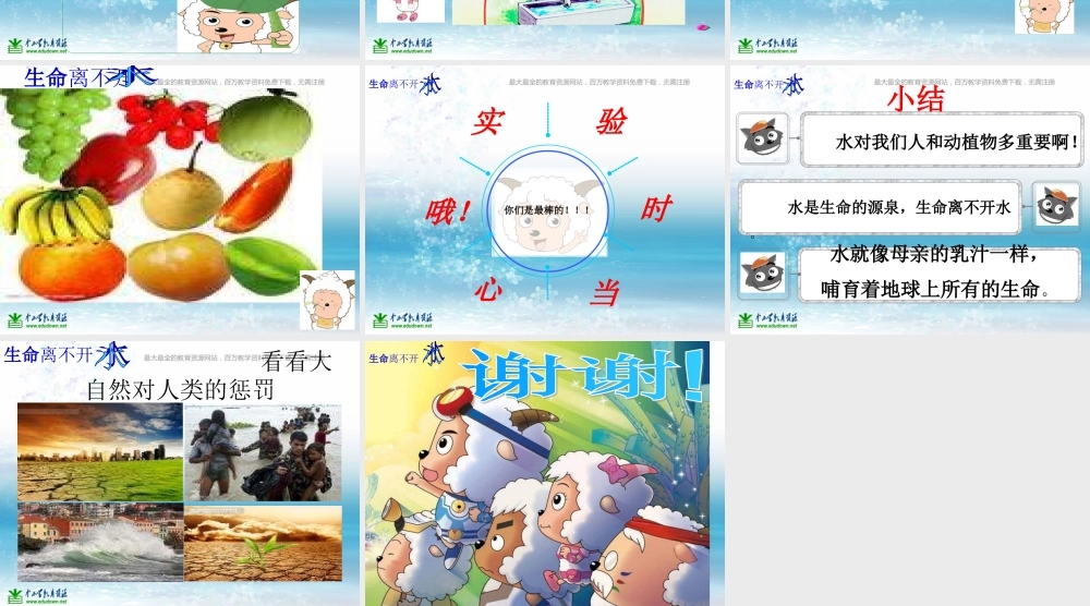 苏教小学科学三上《07生命离不开水》PPT课件(8)【加微信公众号 jiaoxuewuyou 九折优惠qq 1119139686】.ppt