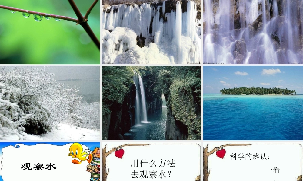 苏教小学科学三上《08观察水》PPT课件(8)【加微信公众号 jiaoxuewuyou 九折优惠qq 1119139686】.ppt