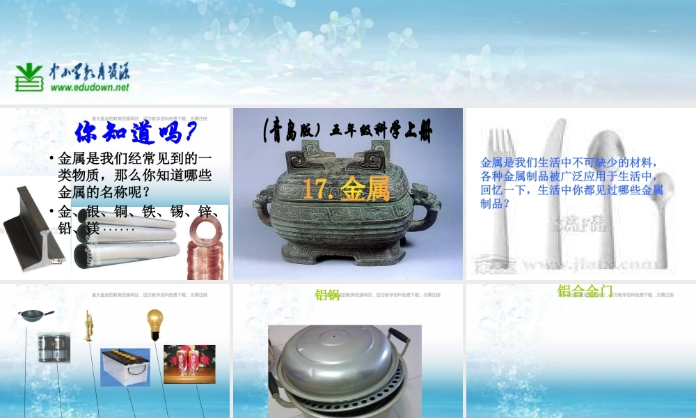 苏教小学科学三上《14金属》PPT课件(5)【加微信公众号 jiaoxuewuyou 九折优惠qq 1119139686】.ppt