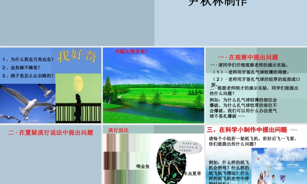 苏教小学科学三上《16尽可能多的提出问题》PPT课件(1)【加微信公众号 jiaoxuewuyou 九折优惠qq 1119139686】.ppt