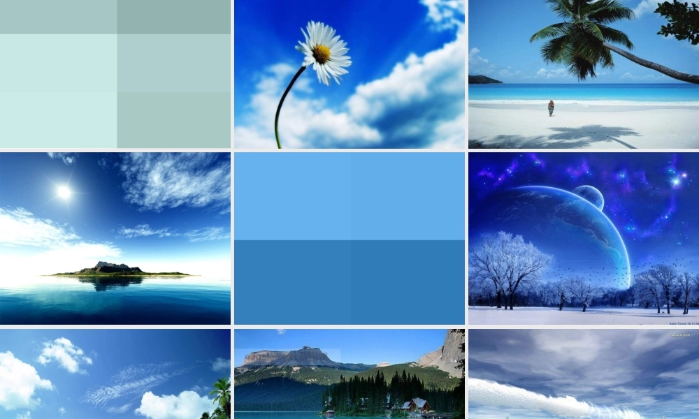 苏教小学科学三上《16尽可能多的提出问题》PPT课件(1)【加微信公众号 jiaoxuewuyou 九折优惠qq 1119139686】.ppt