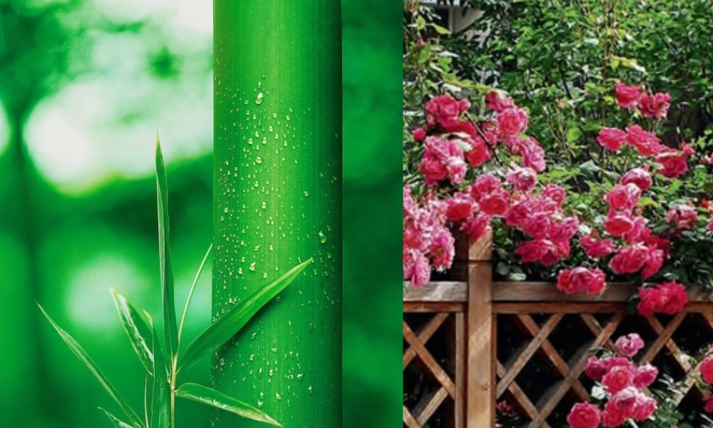 苏教小学科学三下《1.1．我们周围的土壤》PPT课件(9)【加微信公众号 jiaoxuewuyou 九折优惠qq 1119139686】.ppt