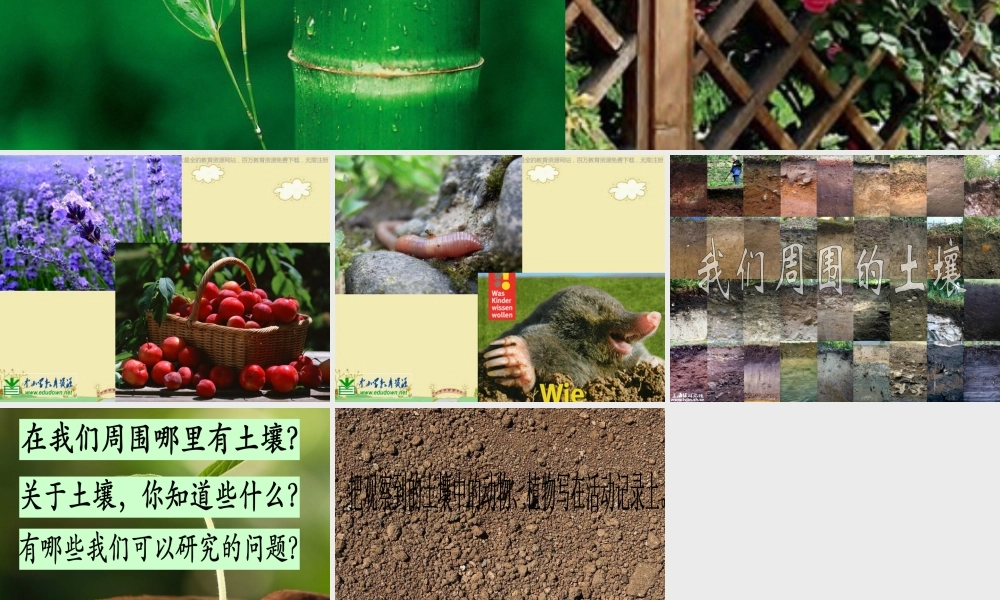 苏教小学科学三下《1.1．我们周围的土壤》PPT课件(9)【加微信公众号 jiaoxuewuyou 九折优惠qq 1119139686】.ppt
