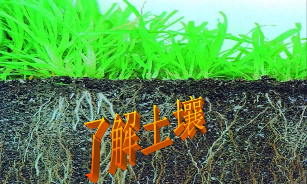 苏教小学科学三下《1.2．了解土壤》PPT课件(4)【加微信公众号 jiaoxuewuyou 九折优惠qq 1119139686】.ppt