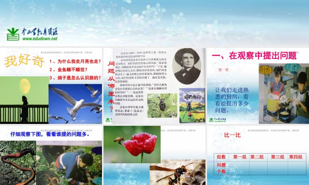 苏教小学科学三上《16尽可能多的提出问题》PPT课件(2)【加微信公众号 jiaoxuewuyou 九折优惠qq 1119139686】.ppt