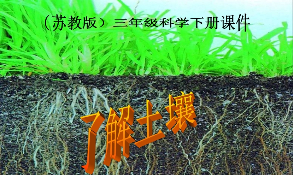 苏教小学科学三下《1.2．了解土壤》PPT课件(2)【加微信公众号 jiaoxuewuyou 九折优惠qq 1119139686】.ppt
