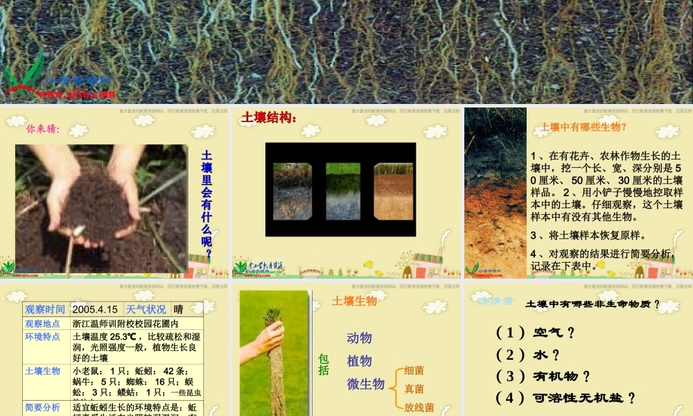苏教小学科学三下《1.2．了解土壤》PPT课件(2)【加微信公众号 jiaoxuewuyou 九折优惠qq 1119139686】.ppt