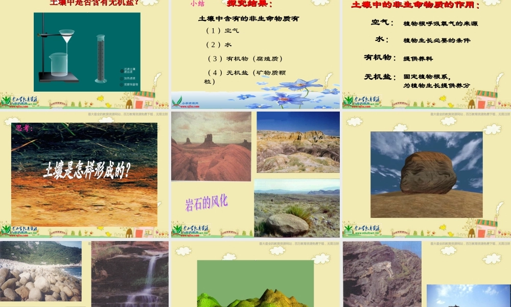 苏教小学科学三下《1.2．了解土壤》PPT课件(2)【加微信公众号 jiaoxuewuyou 九折优惠qq 1119139686】.ppt