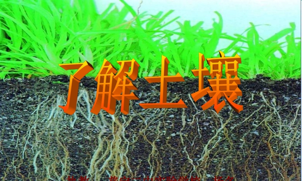 苏教小学科学三下《1.2．了解土壤》PPT课件(5)【加微信公众号 jiaoxuewuyou 九折优惠qq 1119139686】.ppt