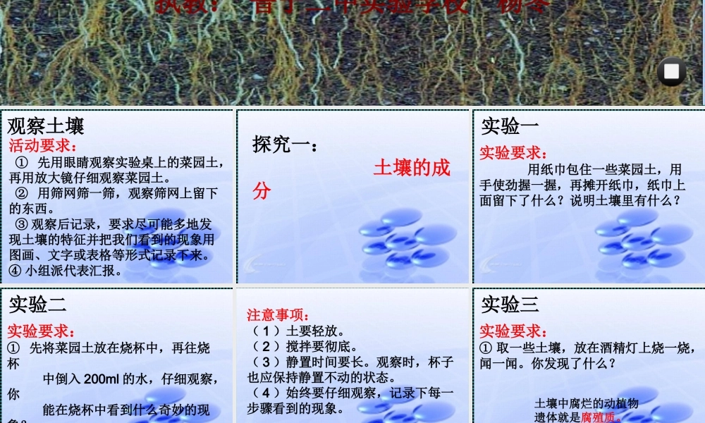 苏教小学科学三下《1.2．了解土壤》PPT课件(5)【加微信公众号 jiaoxuewuyou 九折优惠qq 1119139686】.ppt