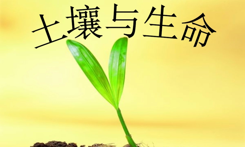 苏教小学科学三下《1.3.肥沃的土壤》PPT课件 (2)【加微信公众号 jiaoxuewuyou 九折优惠qq 1119139686】.ppt