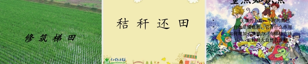 苏教小学科学三下《1.3.肥沃的土壤》PPT课件 (2)【加微信公众号 jiaoxuewuyou 九折优惠qq 1119139686】.ppt