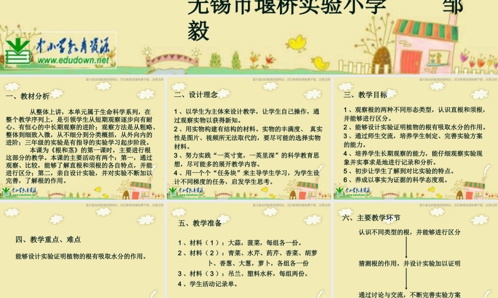 苏教小学科学三下《2.2．根和茎》PPT课件(9)【加微信公众号 jiaoxuewuyou 九折优惠qq 1119139686】.ppt