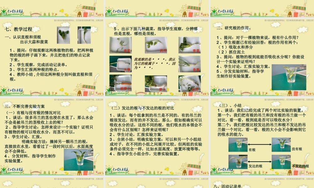 苏教小学科学三下《2.2．根和茎》PPT课件(9)【加微信公众号 jiaoxuewuyou 九折优惠qq 1119139686】.ppt
