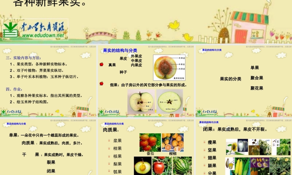苏教小学科学三下《2.1 果实和种子》PPT课件 (5)【加微信公众号 jiaoxuewuyou 九折优惠qq 1119139686】.ppt