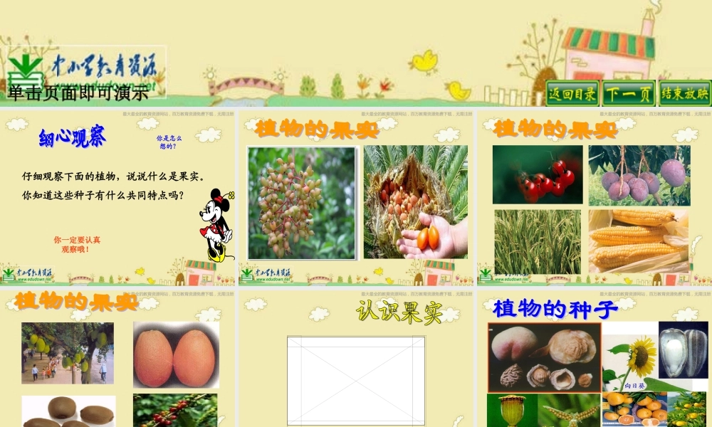 苏教小学科学三下《2.1 果实和种子》PPT课件 (3)【加微信公众号 jiaoxuewuyou 九折优惠qq 1119139686】.ppt