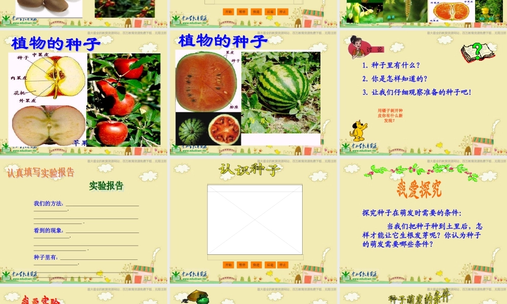 苏教小学科学三下《2.1 果实和种子》PPT课件 (3)【加微信公众号 jiaoxuewuyou 九折优惠qq 1119139686】.ppt