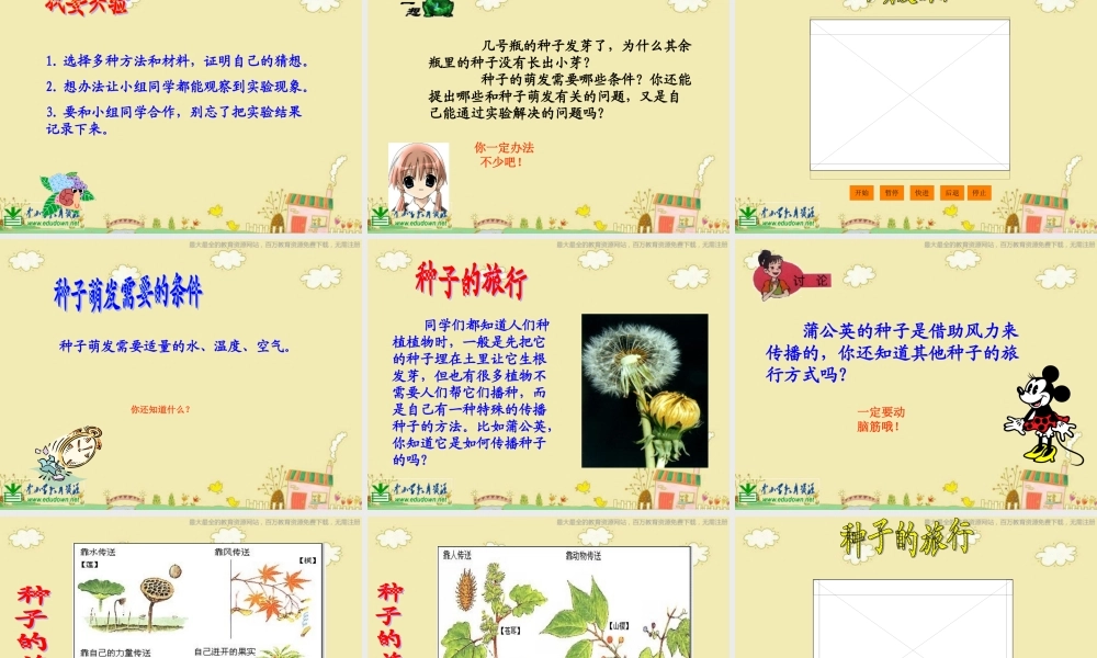 苏教小学科学三下《2.1 果实和种子》PPT课件 (3)【加微信公众号 jiaoxuewuyou 九折优惠qq 1119139686】.ppt