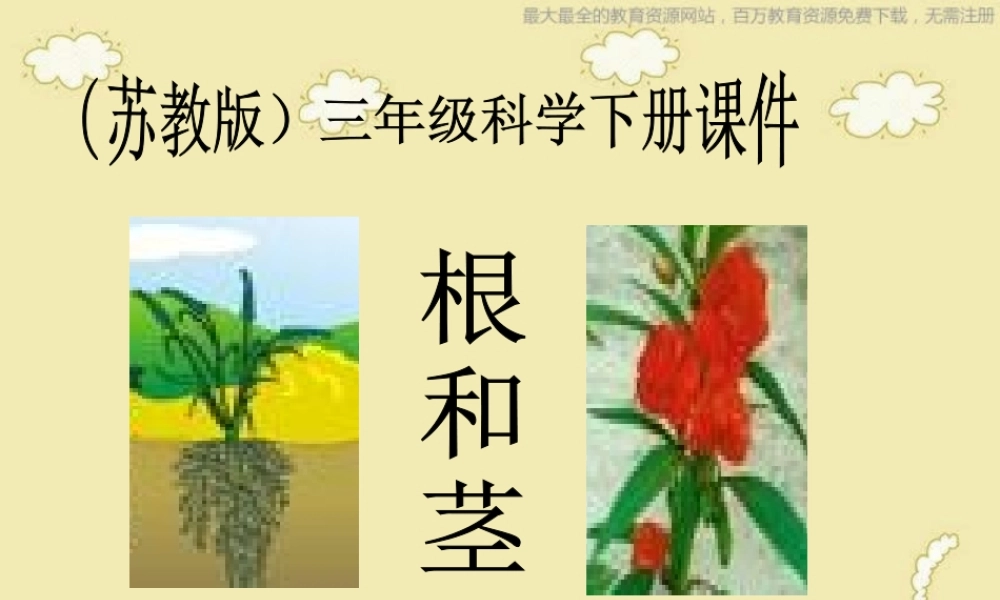 苏教小学科学三下《2.2．根和茎》PPT课件(2)【加微信公众号 jiaoxuewuyou 九折优惠qq 1119139686】.ppt