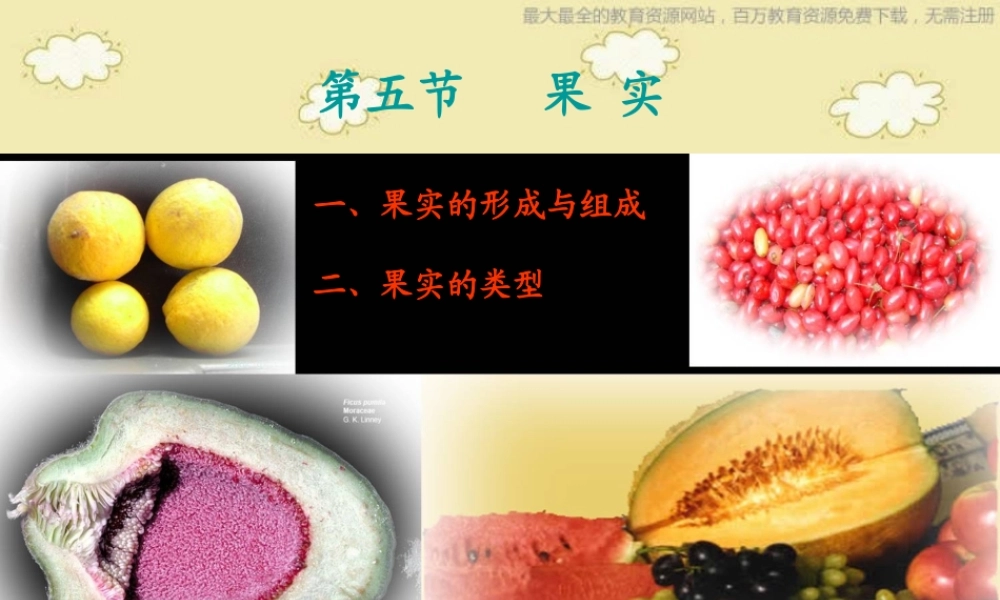 苏教小学科学三下《2.1 果实和种子》PPT课件 (1)【加微信公众号 jiaoxuewuyou 九折优惠qq 1119139686】.ppt