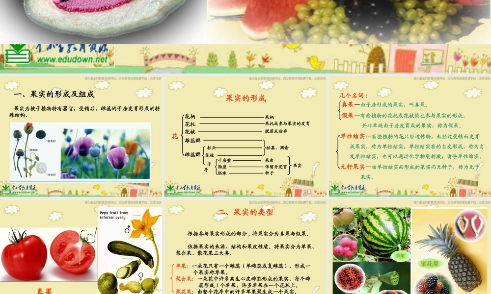 苏教小学科学三下《2.1 果实和种子》PPT课件 (1)【加微信公众号 jiaoxuewuyou 九折优惠qq 1119139686】.ppt