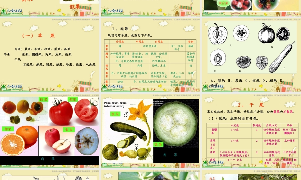 苏教小学科学三下《2.1 果实和种子》PPT课件 (1)【加微信公众号 jiaoxuewuyou 九折优惠qq 1119139686】.ppt