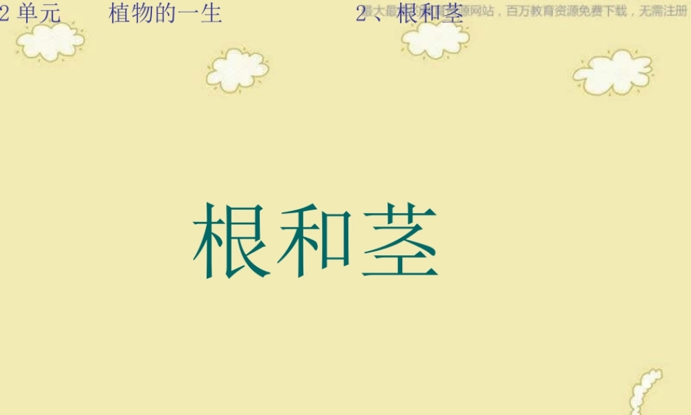 苏教小学科学三下《2.2．根和茎》PPT课件(1)【加微信公众号 jiaoxuewuyou 九折优惠qq 1119139686】.ppt