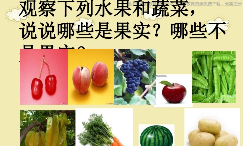 苏教小学科学三下《2.1 果实和种子》PPT课件 (4)【加微信公众号 jiaoxuewuyou 九折优惠qq 1119139686】.ppt