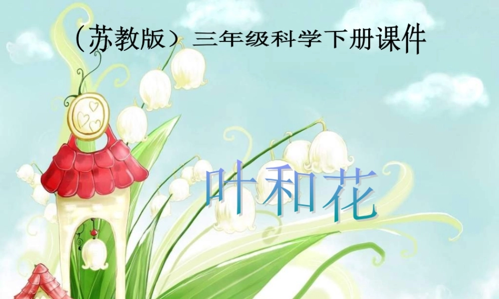 苏教小学科学三下《2.3．叶和花》PPT课件(2)【加微信公众号 jiaoxuewuyou 九折优惠qq 1119139686】.ppt