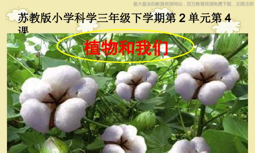 苏教小学科学三下《2.4.植物和我们》PPT课件 (1)【加微信公众号 jiaoxuewuyou 九折优惠qq 1119139686】.ppt